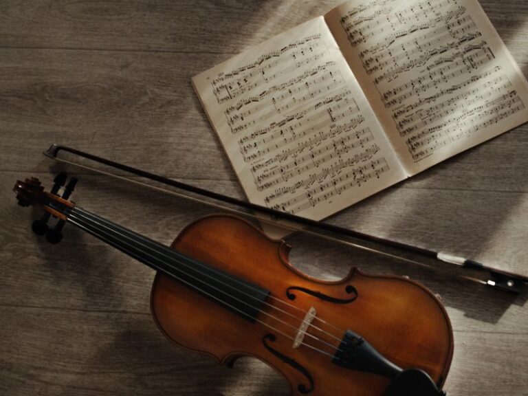 museo della musica x