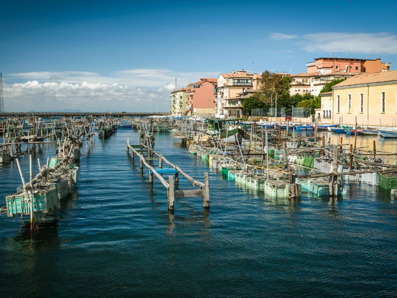 Wochenmarkt in Chioggia